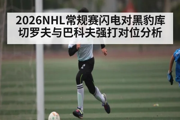 2026NHL常规赛闪电对黑豹库切罗夫与巴科夫强打对位分析