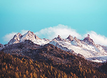 开云官网-男乒世界杯樊振东冲击三连冠 马龙或再遇张本智和