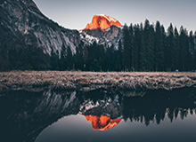 开云官网-男乒世界杯樊振东冲击三连冠 马龙或再遇张本智和